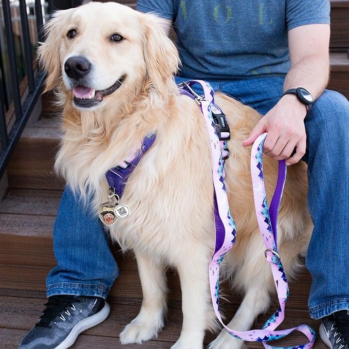 Dog Tags Personalized QR Code Dog Tags, Retro Brass Personalized Pet ID Tags Modifiable Pet Online Profile, Multiple Emergency Contact, (Golden Retriever-1)