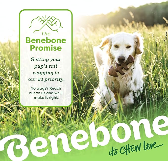 Benebone Tiny 2-Pack Fishbone Durable Dog Chew Toys, Real Fish Flavor, Made in USA