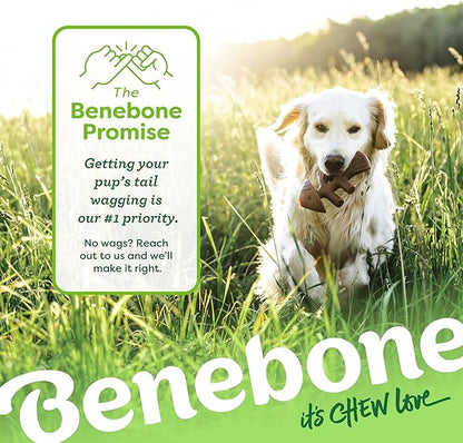 Benebone Tiny 2-Pack Fishbone Durable Dog Chew Toys, Real Fish Flavor, Made in USA