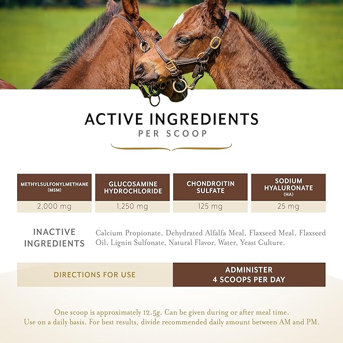 Equithrive Classic Joint Supplement Pellets with Glucosamine, Chondroitin, Hyaluronic Acid and MSM for Horses and Senior Horses, 10 lbs