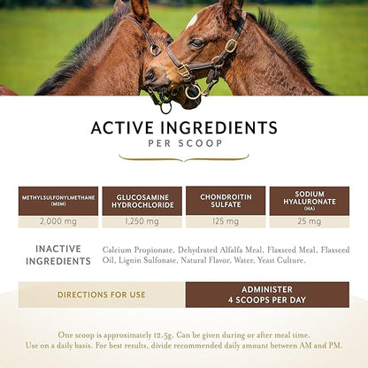 Equithrive Classic Joint Supplement Pellets with Glucosamine, Chondroitin, Hyaluronic Acid and MSM for Horses and Senior Horses, 10 lbs