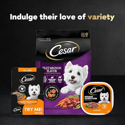 Cesar Filets in Gravy Wet Dog Food Filet Mignon Flavor and Rotisserie Chicken Flavor Variety Pack, 1.76 oz. Mini-Pouches, 20 Pack (Pack of 2)