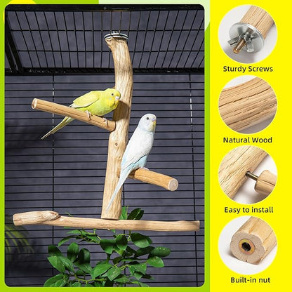 Natural Wood Bird Perch & Play Stand for Parakeets/Cockatiels - Multi-Level Cage Accessory with Training Branch