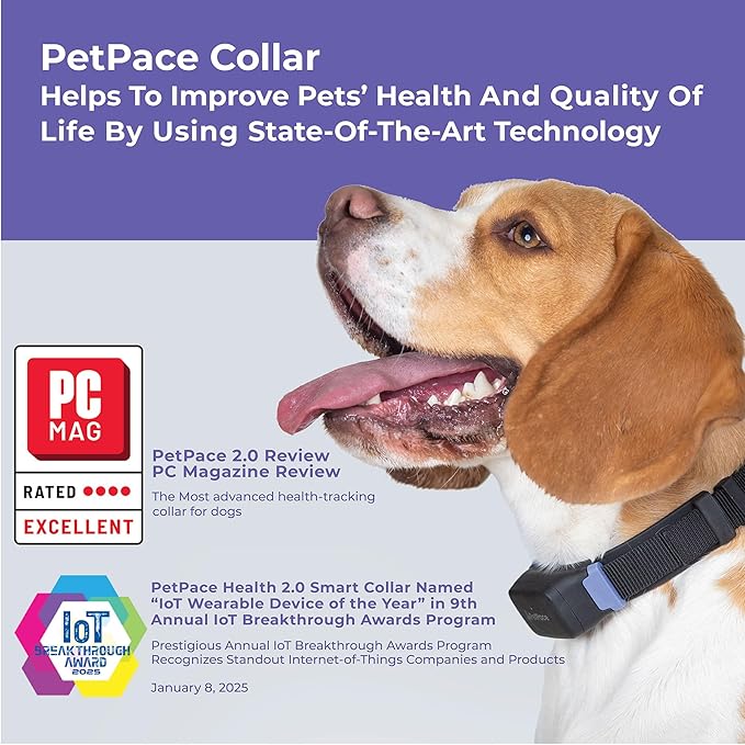 AI Health Monitor & GPS Tracker for Dogs | Track Heart Rate, Pain, Anxiety & Stress | Vet Backed, Near Real-Time Alerts & Monitoring | Subscription Required | PetPace Smart Collar 2.0 (Medium)