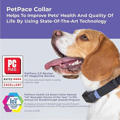 AI Health Monitor & GPS Tracker for Dogs | Track Heart Rate, Pain, Anxiety & Stress | Vet Backed, Near Real-Time Alerts & Monitoring | Subscription Required | PetPace Smart Collar 2.0 (Large)