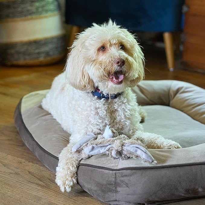 SPOT Skinneeez Rabbit 22 Inch Stuffing-Free Plush Dog Toy with Dual Squeakers – Long Interactive Chew Toy for Medium and Large Dogs – Mess-Free Play for Light & Moderate Chewers