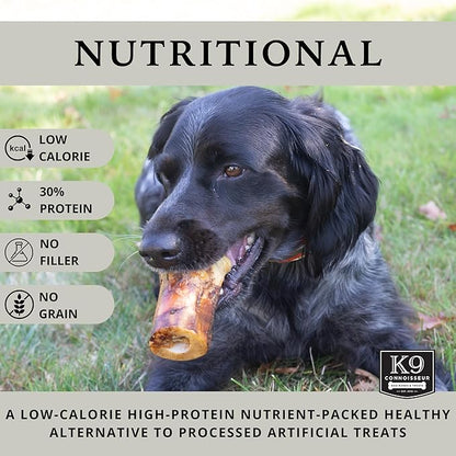K9 Connoisseur Natural Dog Treats for Large Dogs Aggressive Chewers Made in USA Only Grain & Rawhide Free Long Lasting Marrow Filled Dog Bones for Medium Dogs Also Great Treat for a Small Breed 8 Pack