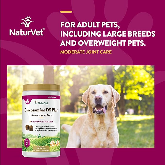 NaturVet  Glucosamine DS Plus - Level 2 Moderate Care  Supports Healthy Hip & Joint Function  Enhanced with Glucosamine, MSM & Chondroitin  for Dogs & Cats  240 Soft Chews