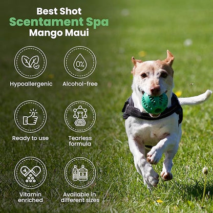 Best Shot Scentament Spa for Pets, Seasonal Facial Spa and Body Wash, Mango Maui, Tearless Shampoo, Hypoallergenic Body Wash, Reduces Tear Stains, 1 Gallon