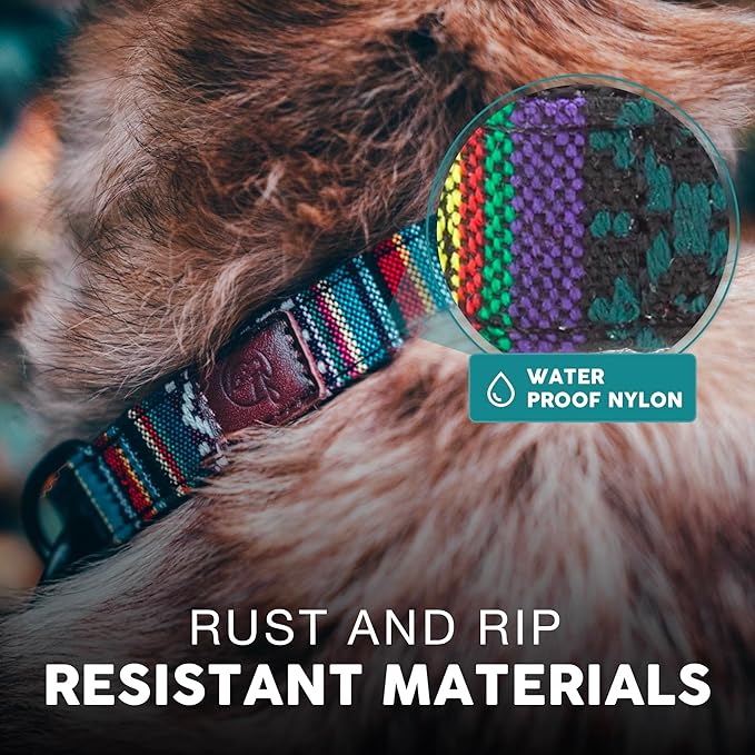 Embark Urban Dog Collar  Dog Collar Stylish & Durable Nylon Dog Collar for Large Dogs, Small Dogs & Medium Dogs.Comfortable Pet Collar Strong Buckles for Any Size Breed (Mayan, Medium)