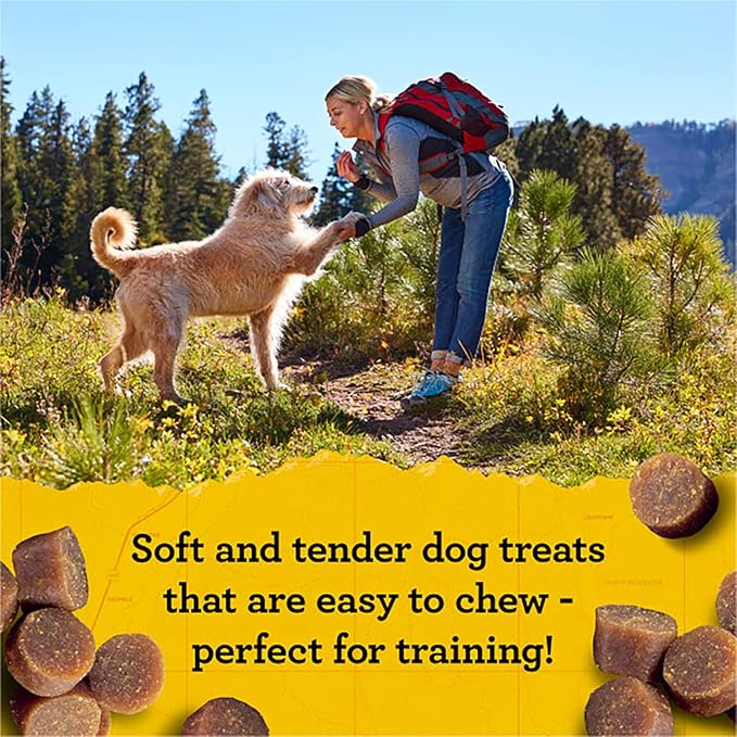 Zuke's Mini Naturals Dog Training Treats, Chicken Recipe, Soft & Tender Mini Dog Treats with Vitamins & Minerals, for All Breed Sizes, 6 OZ Bag (Pack of 3)