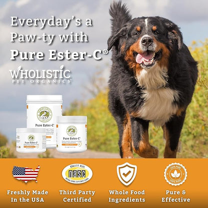 Wholistic Pet Organics Pure Ester-C Powder for Dogs - 1 Lb - Healthy Alternative to Dog Allergy Chews - Vitamin C Supplement for Dog Allergy Relief, Immune Support, Itch Relief for Dogs - Made in USA