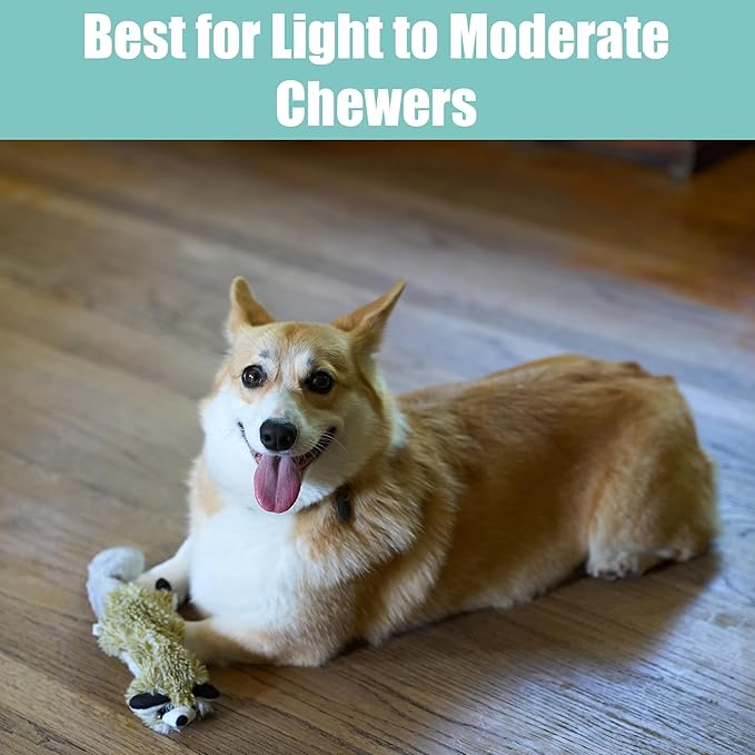 SPOT Skinneeez Raccoon 14 Inch Stuffing-Free Plush Dog Toy – Soft, Mess-Free Toy with One Squeaker for Small & Medium Dogs, Best for Light to Moderate Chewers