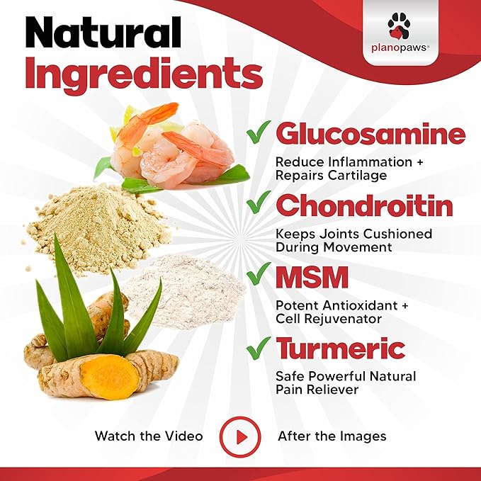 Glucosamine for Dogs Hip and Joint Supplement - Safe Joint Support for Dogs - Dog Joint Supplement with Glucosamine Chondroitin MSM Turmeric for Dogs - 120 Joint Care Chews for Dogs ActivTreats