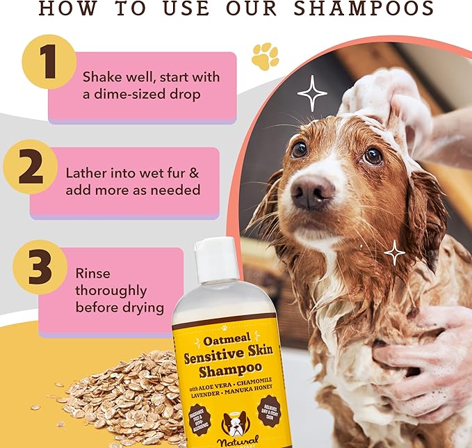 Natural Dog Company Oatmeal Shampoo for Dogs with Sensitive Skin, Ideal Anti Itch and Puppy Shampoo Oatmeal Itch Relief Dog Dandruff Shampoo, Aloe Itchy Skin Relief for Dogs 12 oz