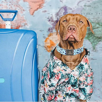 Lionheart glory Dog Collar, Blue Dog Collar Boy Dog Collars Heavy Duty Adjustable Collar for Large Dogs Pet Gift