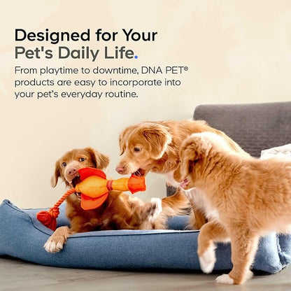 Goat Milk and Colostrum Powder for Dogs - Goat Milk Powder, Bovine Colostrum Protein Supplement for Dogs - Canine Joint & Gut Wellness Support - All Breeds and Sizes - 3.2 oz