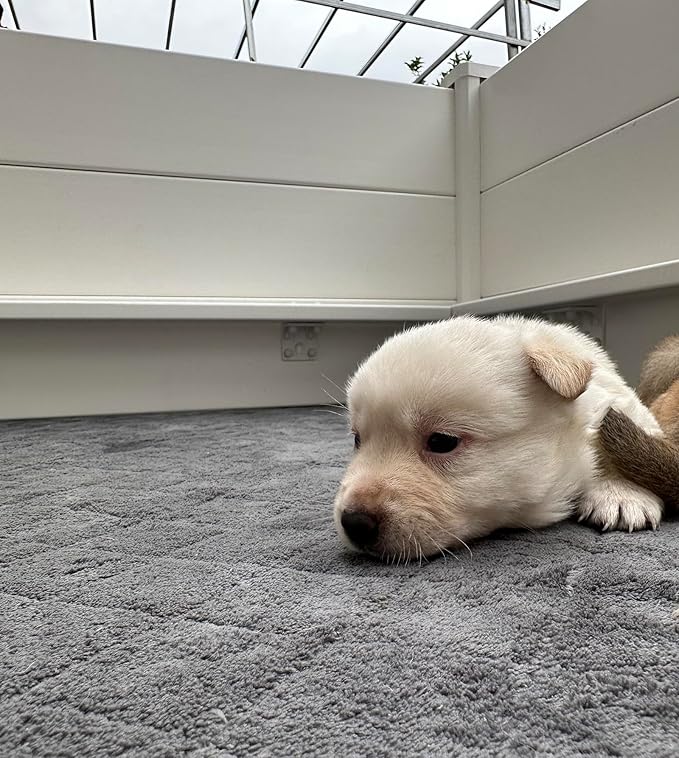 Whelping Mat for Dogs,Washable Pee Pad,for Small and Large Breed Puppies (Only Whelping Pad)