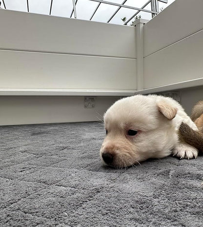 Whelping Mat for Dogs,Washable Pee Pad,for Small and Large Breed Puppies (Only Whelping Pad)