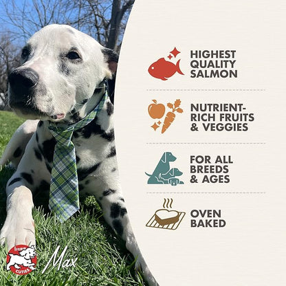 Fromm Four-Star Nutritionals Salmon with Sweet Potato Dog Treats - Premium Oven Baked Dog Snacks - Salmon Recipe - Pack of (3) 8 oz Bags