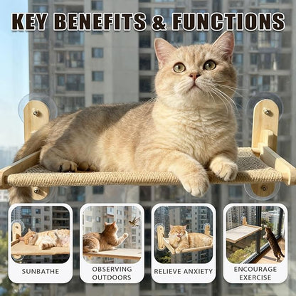 Cat Window Perch with Strong Suction Cups, 55lbs Hold Weight Tested, Foldable Cat Window Hammock Bed with Breathable Mesh, All-Season Lounger for Medium Small Cats to Bird Watch & Sunbathe