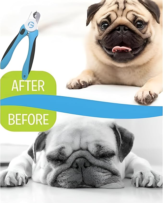 Cat Nail Clippers and Trimmers Set, Professional Pet Grooming Tools for Cats' Nails with Safety Guard, Free Nail File, Razor Sharp Blades, Meduim, Blue