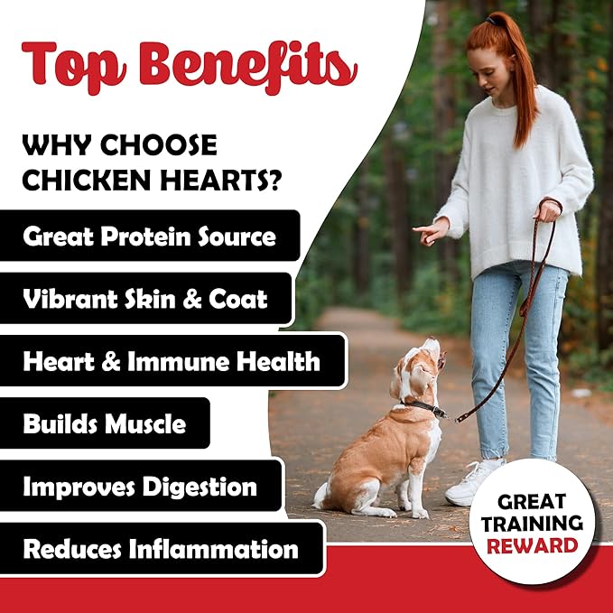 Freeze Dried Chicken Hearts for Dogs - Limited Ingredient Preservative Free High Protein Dog Treats - Raw Single Ingredient Treats for Pets - 3.75oz Bag