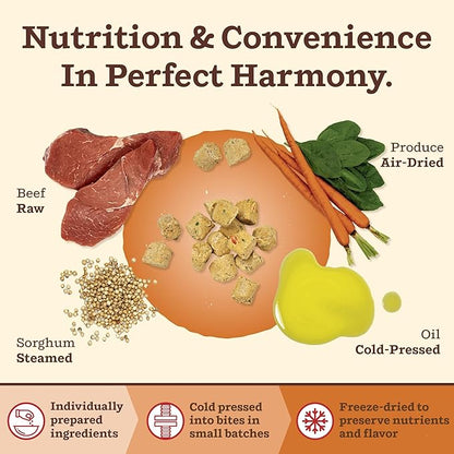 Primal Kibble in The Raw, Freeze Dried Dog Food, Beef, Scoop & Serve, Made with Raw Protein, Whole Ingredient Nutrition, Crafted in The USA, Dry Dog Food 5.4 lb Bag