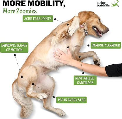 Deley Naturals Hip and Joint Supplement for Dogs - Glucosamine for Dogs with MSM, Turmeric, Chondroitin & Collagen Supplements - Joint Support Chews for Mobility, Flexibility & Comfort - 120 Chews
