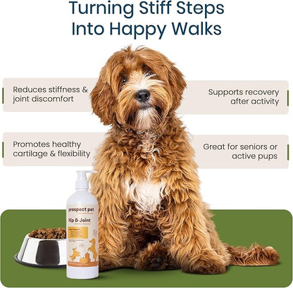 Hip and Joint Supplement for Dogs - Glucosamine with Plant-Based Chondroitin, MSM & Pumpkin - Advanced Joint Relief Dog Supplements for Large & Small Breeds - USA Made 16OZ