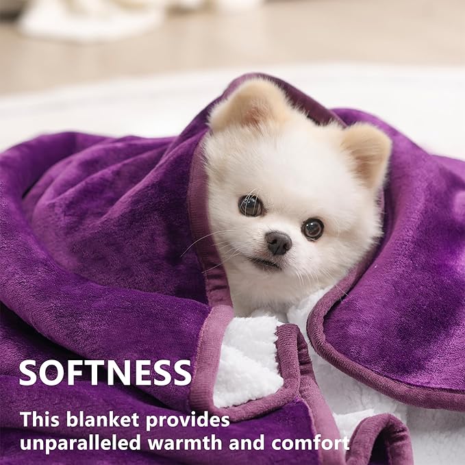 gogobunny Waterproof Bed Blanket, Reversible Sherpa Fleece Throw Blanket for Dog Puppy Cat, Furniture Cover Protects Bed Couch Sofa from Liquid Pee and Pet Fur (Dark Purple, 60x80 inches)