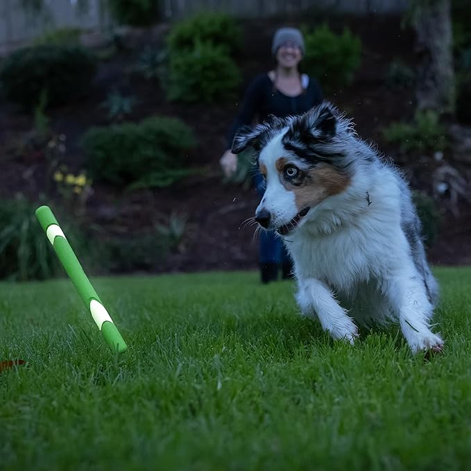 Chuckit! Interactive Dog Toy Ultra Fetch Stick Day & Night Bundle, 12 Inches, Outdoor, Pack of 2