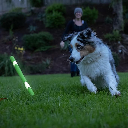 Chuckit! Interactive Dog Toy Ultra Fetch Stick Day & Night Bundle, 12 Inches, Outdoor, Pack of 2