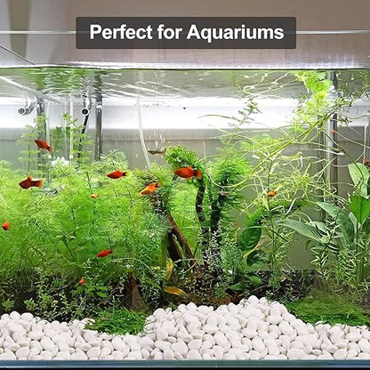 10Ib Snow White River Rock- Decorative Pebbles for Plants - River Rocks for Outdoor Landscaping- 0.3"-0.8" inch Polished Stones for Stones for Aquarium, Home Decor,Garden Decor