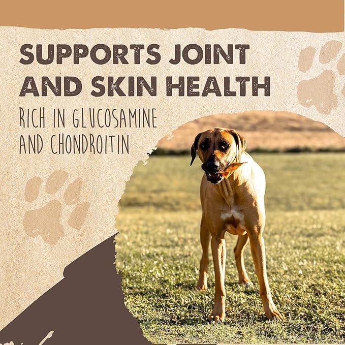 Mighty Paw Half Pig Ears for Dogs - All Natural, Single Ingredient Pig Ear Dog Treats. Rawhide Alternative, Snacks for Small and Large/Medium Dogs. Pigs Ears Dog Chews, Dog Pig Ears (12 Pack)