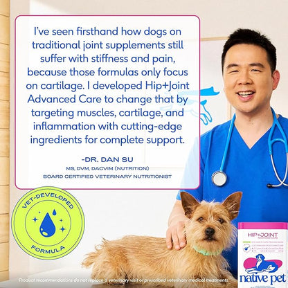 Native Pet Advanced Care - Hip & Joint Supplement for Dogs - Supports Joints, Cartilage, Muscles & Anti-Inflammatory with HMB, UC-II Collagen, Green Lipped Mussel & Hyaluronic Acid - 60 Scoops