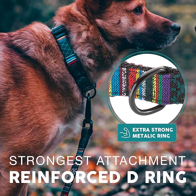 Embark Urban Dog Collar  Dog Collar Stylish & Durable Nylon Dog Collar for Large Dogs, Small Dogs & Medium Dogs.Comfortable Pet Collar Strong Buckles for Any Size Breed (Mayan, Medium)