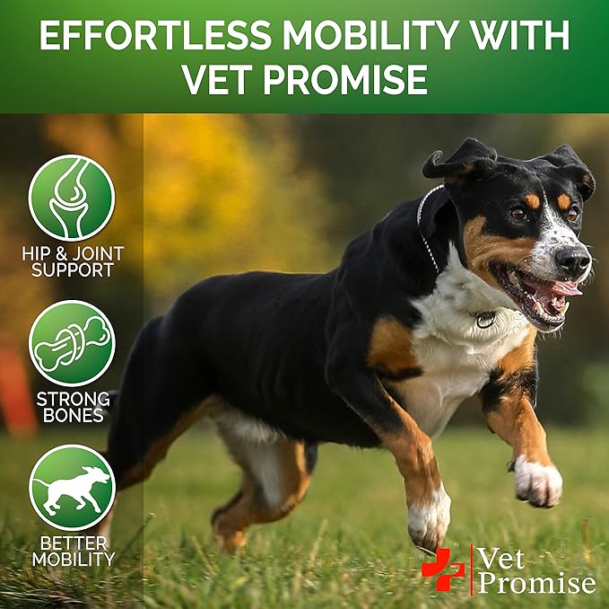 Vet Promise Glucosamine for Dogs - Hip and Joint Supplement for Dogs - Glucosamine Chondroitin - Joint Pain Relief Pills - MSM - Advanced Health Support Supplement - 170 Mobility Chews - Made in USA