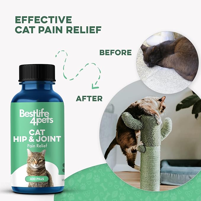 Cat Hip and Joint Support Supplement, Natural Mobility Aid with Plant-Based Ingredients, Comfort for Stiffness & Flexibility, Tiny Neutral-Taste Pills Mix or Dissolve, Cat Joint Supplement (400 Pills)