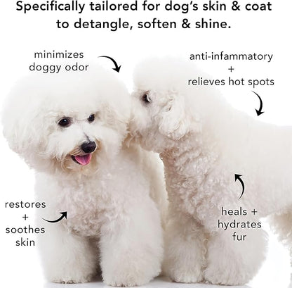 Pride and Groom The Non Shedder Box Set – Dog Shampoo & Conditioner with All Natural Blend of Essential Oils & Ingredients to Heal and Nourish for Long Lasting Shine & Manageability – 32oz