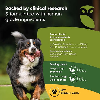 Rooted Owl Joint and Muscle Support for Large Dogs (Over 30 Lbs) - Supplement with UC-II Type II Collagen and L-Carnitine - 30 Count