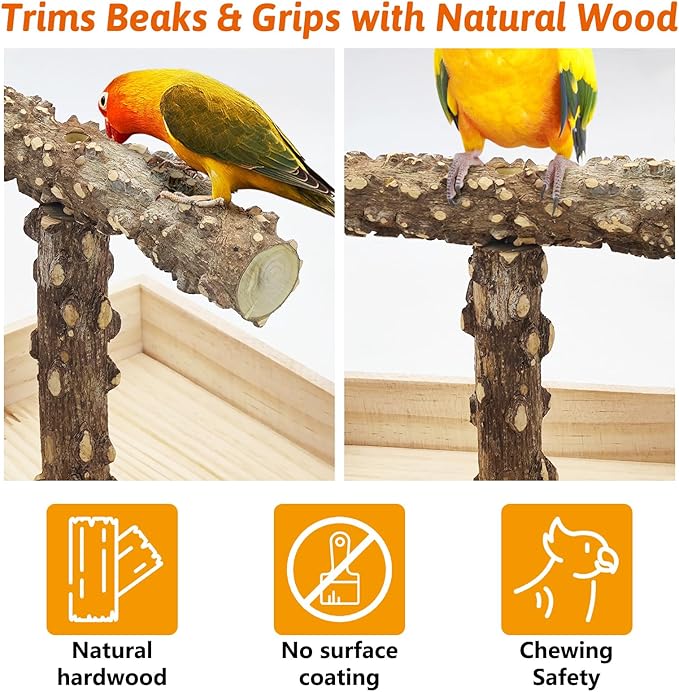 BNOSDM Portable Bird Perch Stand with Potty Tray, Natural Wood Tabletop Training Gym Parrot Playground Toy for Budgies, Cockatiels, Lovebirds,Conures