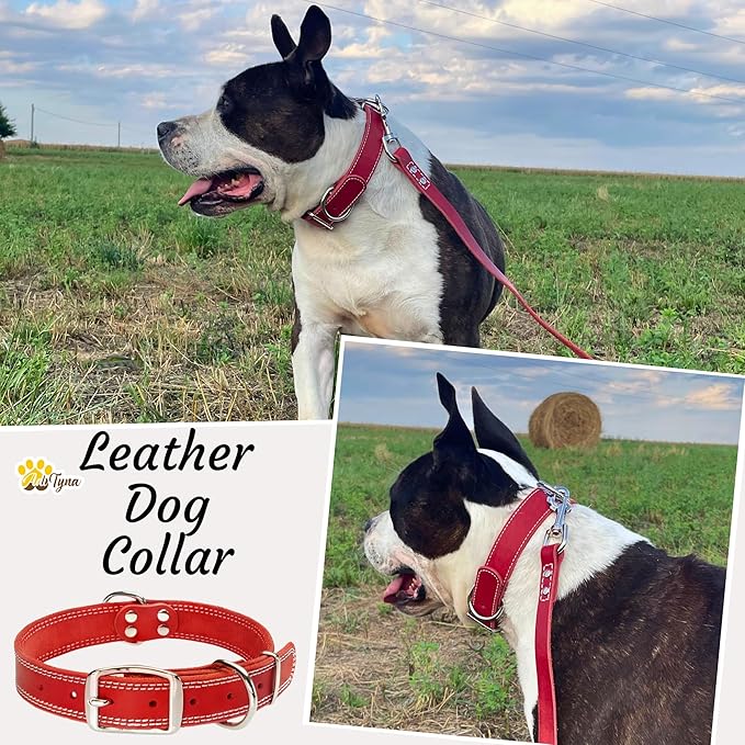 ADITYNA Heavy Duty Red Leather Dog Collar for Large Dogs - Soft and Strong Leather Dog Collar for Walking and Training