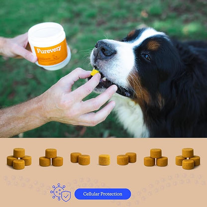 Longevity Dog Multivitamin 11-in-1 Daily Chews Chicken Flavored with Flaxseed, 60 Count, Supports Hip and Joint Health, Immune System, Skin and Coat, Heart Health, Energy and Vitality