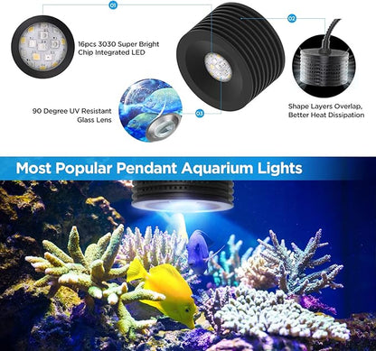 Lominie LED Aquarium Light, Nano Coral Reef Light Clip on Aquarium Light Full Spectrum Remote Control Fish Tank Lamp Dimmable for Saltwater Fish Tank (Saltwater)