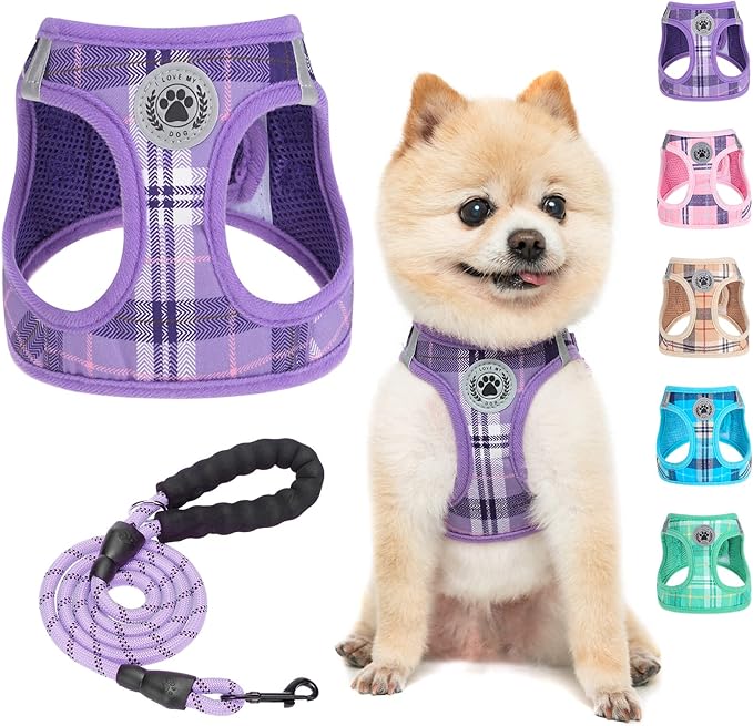 BEAUTYZOO Small Dog Harness and Leash Set,Step in No Chock No Pull Soft Mesh Dog Harnesses Reflective for Extra-Small/Small Medium Puppy Dogs and Cats, Plaid Dog Vest Harness for XS S Pets, Purple XXS