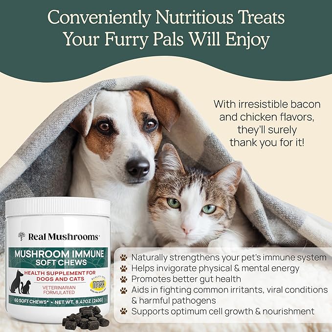 Real Mushroom Immune Pet Chews  For Daily Digestive & Immune Health  Mushrooms for Dogs & Cats Functional Treat  Mushroom Supplement for Dogs & Cats  1 to 4 Chews For All Breeds & Sizes (60 Count)