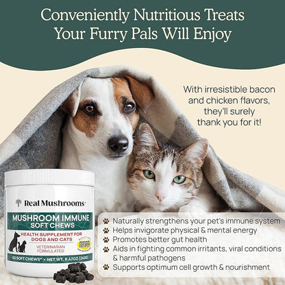 Real Mushroom Immune Pet Chews  For Daily Digestive & Immune Health  Mushrooms for Dogs & Cats Functional Treat  Mushroom Supplement for Dogs & Cats  1 to 4 Chews For All Breeds & Sizes (60 Count)