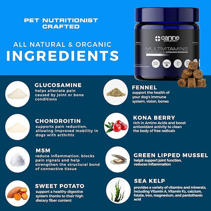 Dog Multivitamin Soft Chews | All-in-One Supplement for Immunity, Joints, Gut & Skin Health | Glucosamine Chondroitin, Vitamins & Probiotics | Roasted Peanut Flavor - 90 Count