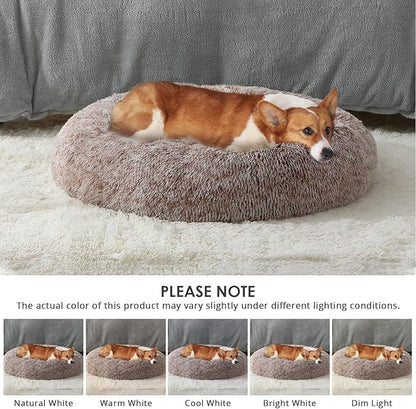 JOLLYVOGUE Dog Beds, Calming Small Dog Bed, Anti-Anxiety Dog Bed for Small Dogs, Fluffy Donut Dog Bed, Cozy Dog Cat Cushion Bed for Small Medium Dogs and Cats (20")